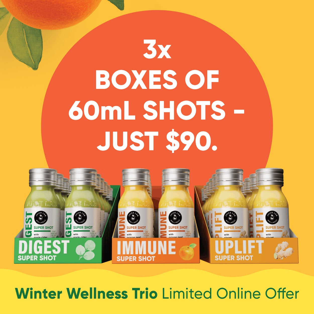 Winter Wellness Boost