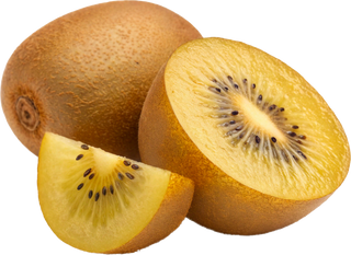 Golden Kiwi